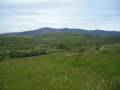 Sierra de la Demanda